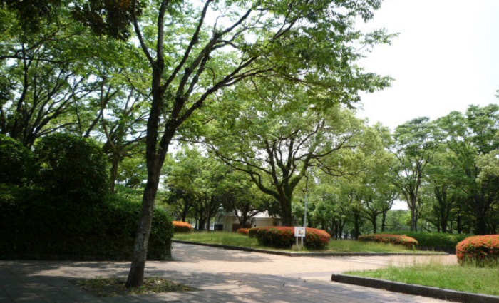 宮崎市中央公園